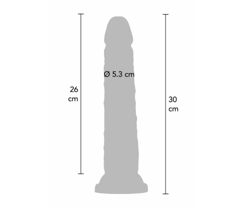 TOYJOY Deluxe Dual Density Dong TPE 30 cm - Flexible Anatomical Model