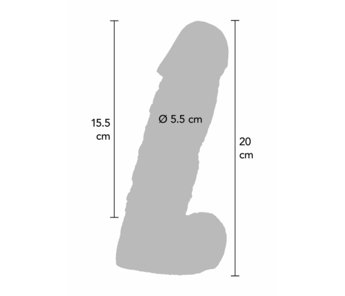 Prince Charming Dong 20 cm Anatomical Model - Skin Tone, PVC