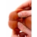 ToyJoy Get Real Skin Silicone Intimate Model with Movable Foreskin 20 cm