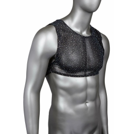 Radiance Crop Top by Radiance - Mesh Design & Rhinestone Accents