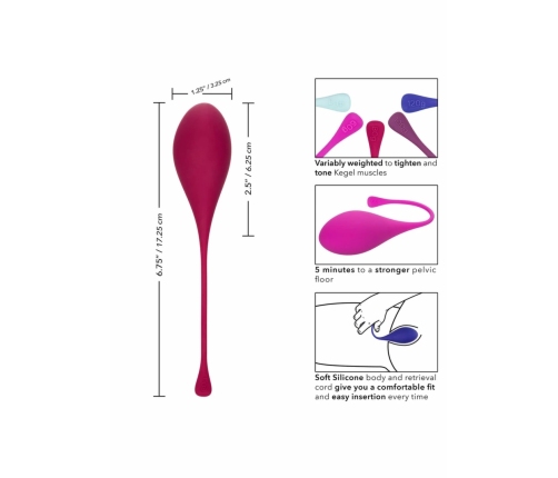 CalExotics Kegel Training 5-Piece Set - Progressive Pelvic Floor System