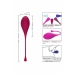 CalExotics Kegel Training 5-Piece Set - Progressive Pelvic Floor System