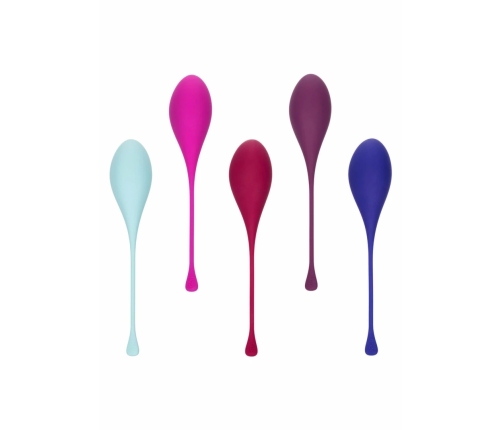CalExotics Kegel Training 5-Piece Set - Progressive Pelvic Floor System