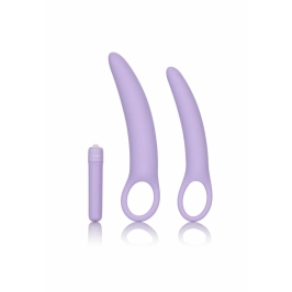 Dr. Laura Berman Isabelle Set of 2 Silicone Dilators with Vibrator Dr. Laura Berman Isabelle Set of 2 Silicone Dilators with Vibrator