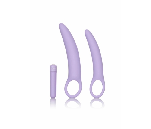 Dr. Laura Berman Isabelle Set of 2 Silicone Dilators with Vibrator