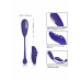 CalExotics eStim Remote Kegel Exerciser - Wireless Pelvic Trainer, 7 Modes