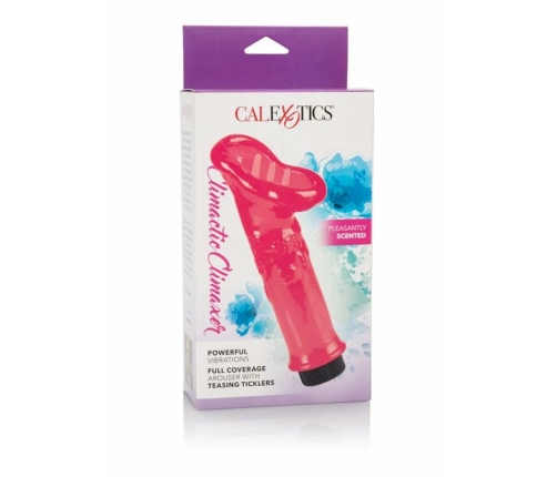 Climactic Climaxer Intimate Suction Stimulator, 5.5