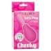 Cheeky One-Way Flow Douche Hygienic Cleaning System 216ml