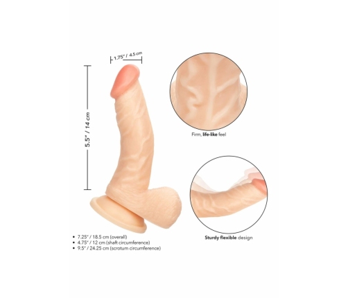 Working Stiff The Doctor Anatomical Model with Flexible System 20 cm
