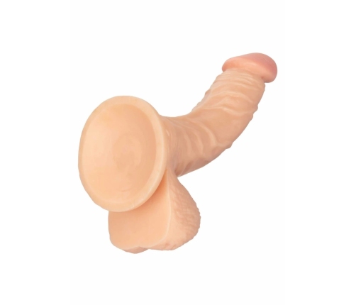 Working Stiff The Doctor Anatomical Model with Flexible System 20 cm