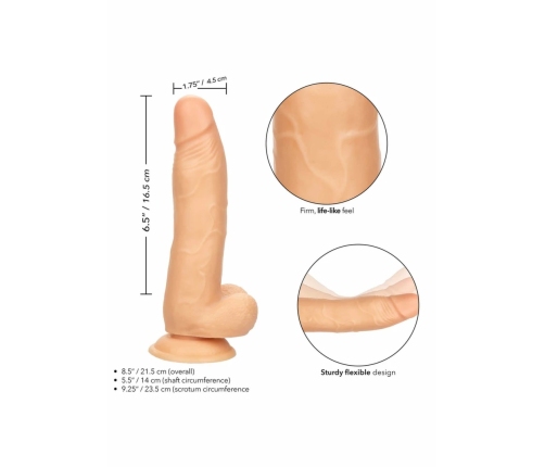 Working Stiff The Fireman Anatomical Model with Suction Cup, 22 cm