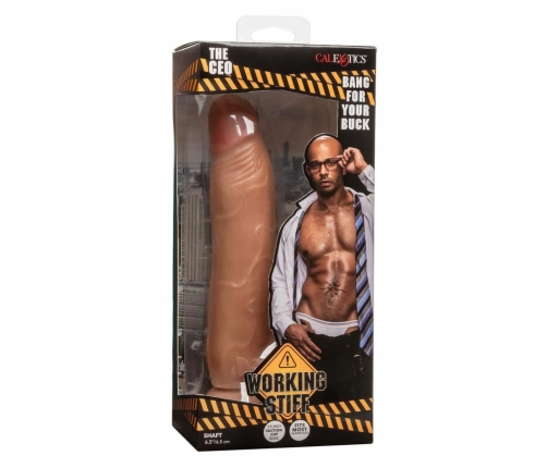Working Stiff The CEO - Anatomical Model with Suction Cup, Beige, 20 cm