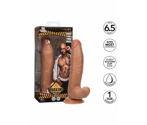 Working Stiff The CEO - Anatomical Model with Suction Cup, Beige, 20 cm