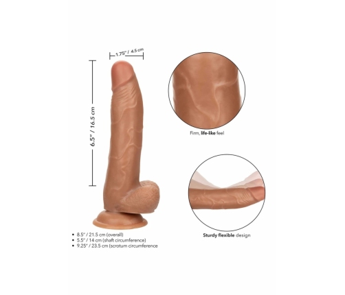 Working Stiff The CEO - Anatomical Model with Suction Cup, Beige, 20 cm