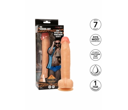 Working Stiff The Cabana Boy Flexible Intimate Model with Suction Base