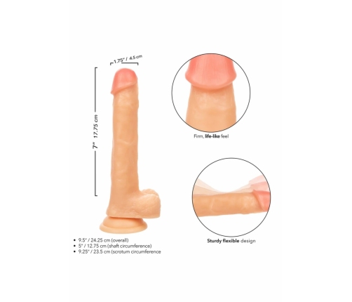 Working Stiff The Cabana Boy Flexible Intimate Model with Suction Base