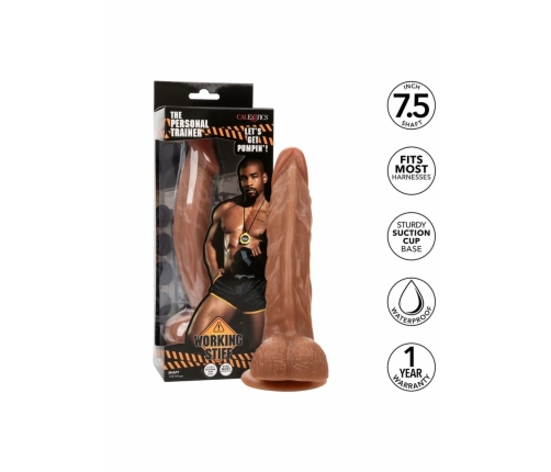 Working The Personal Trainer Flexible Anatomical Model 20 cm Beige