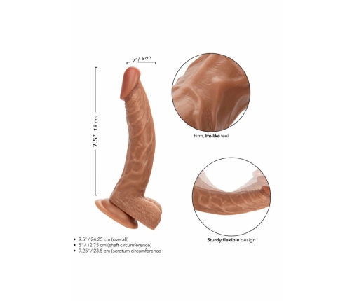 Working The Personal Trainer Flexible Anatomical Model 20 cm Beige
