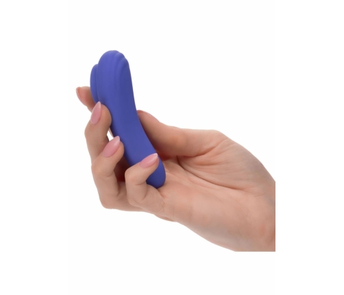 CalExotics Connect Panty Teaser App-Controlled Intimate Device Black