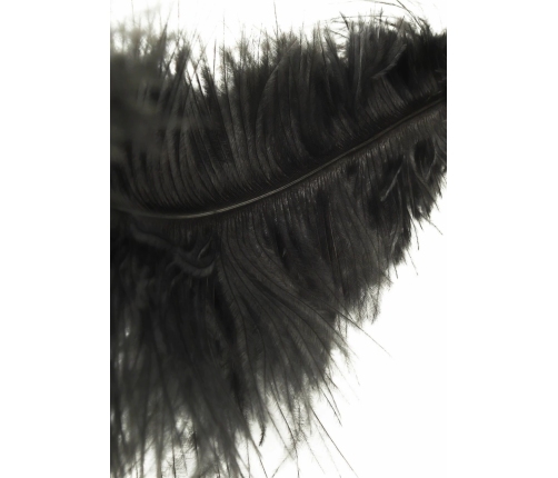 HIDDEN DESIRE Double Feather Tickler Black - Dual-Ended Feather Wand
