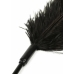 HIDDEN DESIRE Double Feather Tickler Black - Dual-Ended Feather Wand