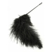 HIDDEN DESIRE Double Feather Tickler Black - Dual-Ended Feather Wand
