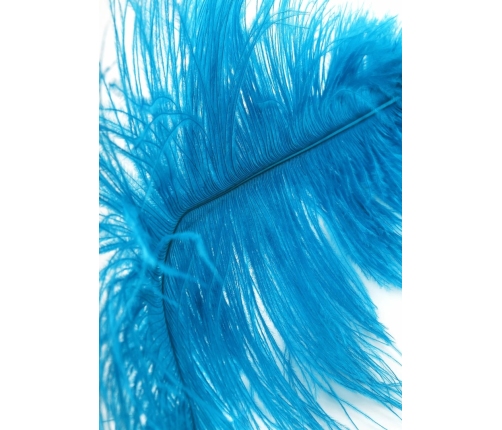 HIDDEN DESIRE Double Feather Tickler Black - Dual Natural Feather Wand