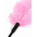 HIDDEN DESIRE Double Feather Tickler Black - Dual Natural Feather Wand