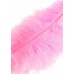 HIDDEN DESIRE Double Feather Tickler Black - Dual Natural Feather Wand