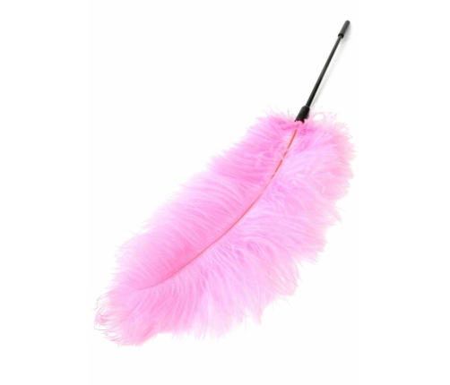 HIDDEN DESIRE Double Feather Tickler Black - Dual Natural Feather Wand