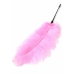 HIDDEN DESIRE Double Feather Tickler Black - Dual Natural Feather Wand