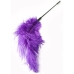 HIDDEN DESIRE Double Feather Tickler Black - Dual-Ended Sensory Tool