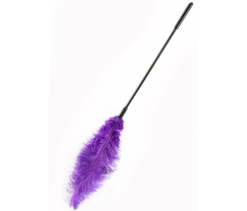 HIDDEN DESIRE Double Feather Tickler Black - Dual-Ended Sensory Tool