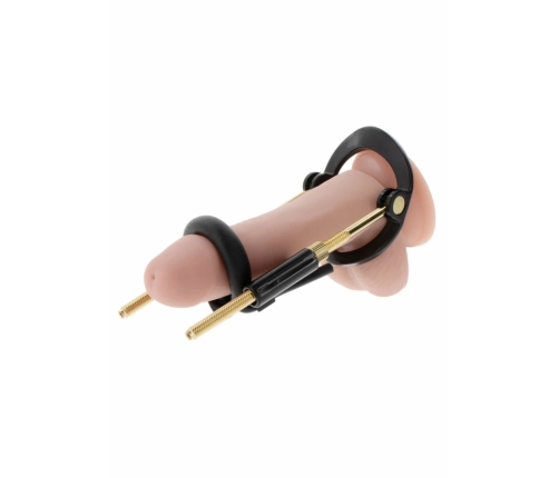 HIDDEN DESIRE Fusion X Basic Set - Adjustable Intimate Training System
