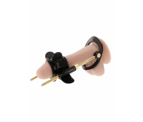 HIDDEN DESIRE Fusion X Comfort Set - Adjustable Intimate Training System