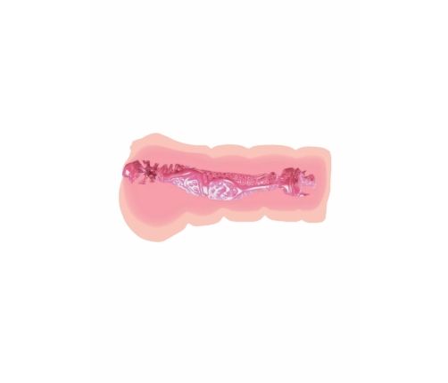 Hidden Desire Super Wet Travel Beaver Compact Intimate Device TPR