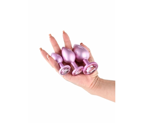nsnovelties Trainer Kit Iridescent Pink 3-Piece Set Chrome Finish