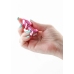 NS Novelties Rear Assets Petite Chrome-Plated Aluminum Plug Pink Gem