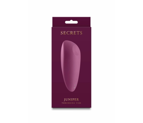 Secrets Juniper Compact Rechargeable Intimate Device Purple
