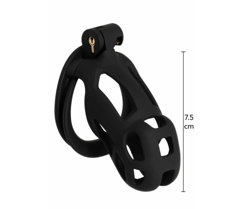 EXTREME by HIDDEN DESIRE Penis Prison Cage Regular ABS Locking System