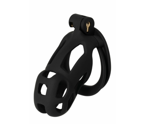 EXTREME by HIDDEN DESIRE Penis Prison Cage Regular ABS Locking System