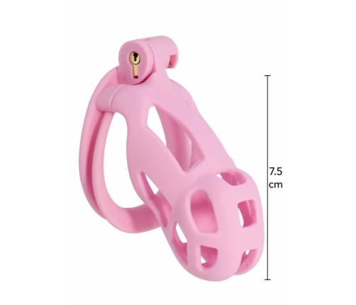 EXTREME by HIDDEN DESIRE Penis Prison Regular ABS Cage System Black