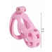 EXTREME by HIDDEN DESIRE Penis Prison Regular ABS Cage System Black