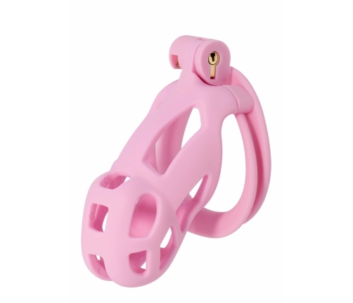 EXTREME by HIDDEN DESIRE Penis Prison Regular ABS Cage System Black
