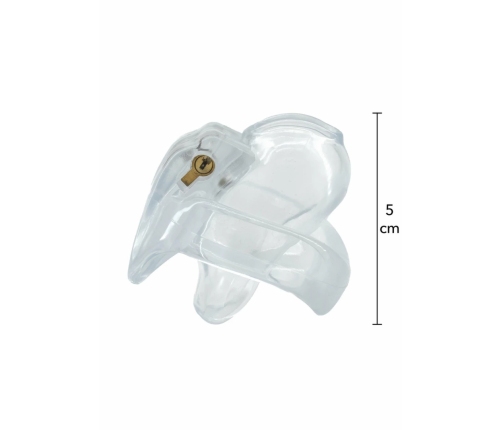HIDDEN DESIRE Clear Control X-Short Cage Transparent Acrylic System