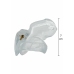 HIDDEN DESIRE Clear Control Short Cage Transparent Acrylic System