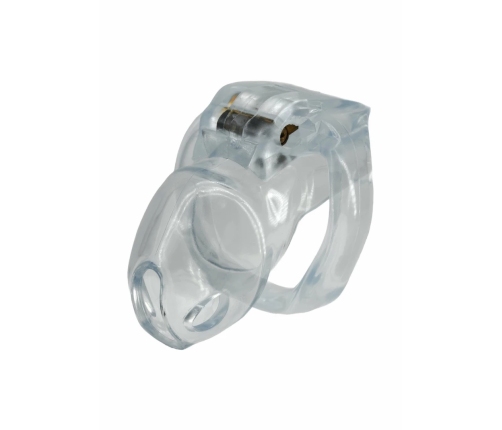 HIDDEN DESIRE Clear Control Short Cage Transparent Acrylic System