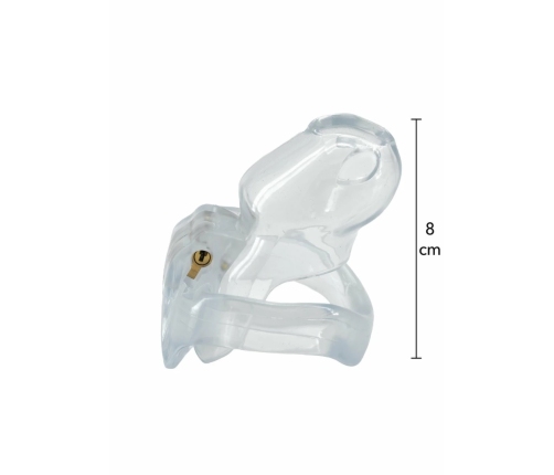 EXTREME by HIDDEN DESIRE Clear Control Cage Regular Acrylic System