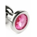 Mr. Steel Jeweled Plug Large Stainless Steel with Gemstone Base