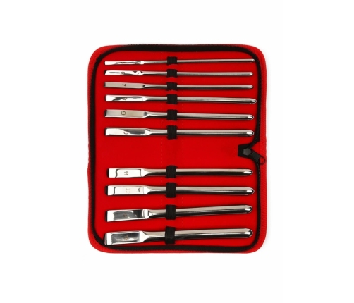 Mr. Steel Single-End Dilator Set 10 pcs Stainless Steel Precision Kit
